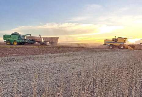 Colheita da soja e plantio do milho entram na fase final em MS