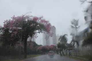 MS entra na rota de ciclone e ter&aacute; temporais e frente fria a partir de segunda