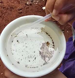 Dourados investiga duas novas mortes por suspeita de chikungunya