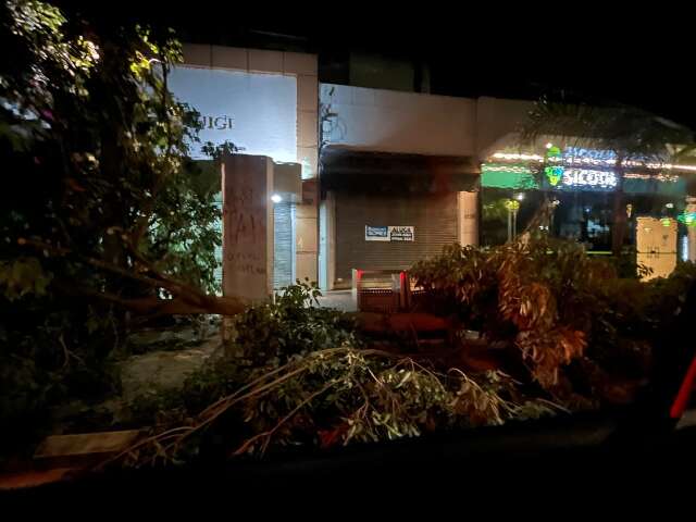 Temporal derrubou árvores, destruiu fachada de vidro e alagou ruas 