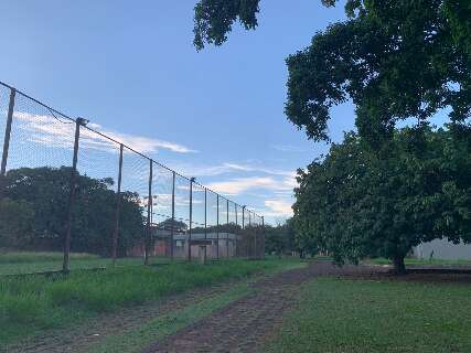 Calor intenso, baixa umidade e risco de chuva marcam o in&iacute;cio da semana