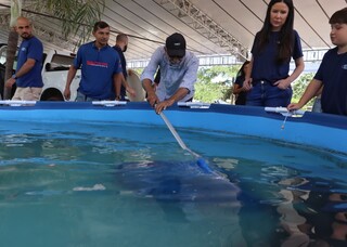 Fujona chega no Bioparque e ficar&aacute; de quarentena antes de dividir tanque