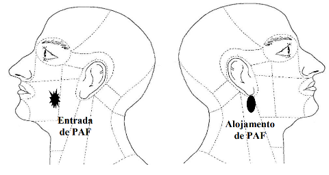 Laudo aponta que tiro atingiu rosto de envolvido em assassinato de casal