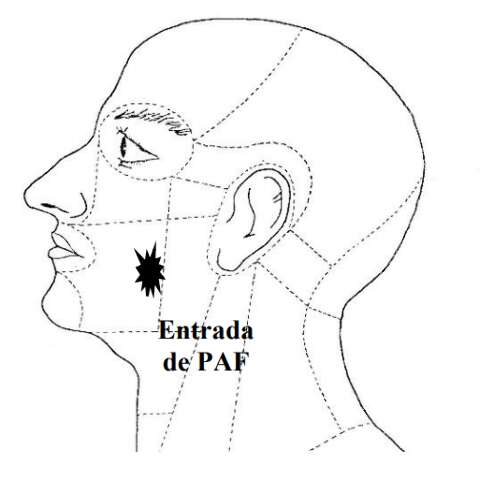Laudo refor&ccedil;a vers&atilde;o da fam&iacute;lia sobre jovem morto pela PM