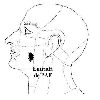 Laudo indica que tiro atingiu rosto de jovem morto em confronto com a PM