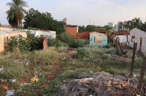 Sistema vai identificar terreno sujo com fotos e donos ter&atilde;o 15 dias para limpar