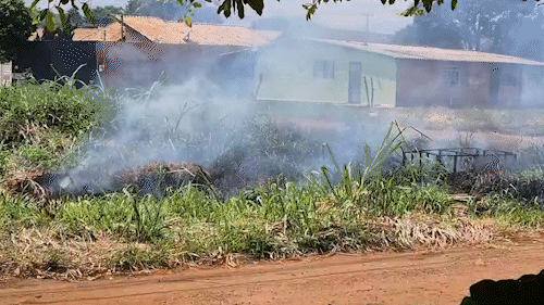 Terrenos baldios s&atilde;o um problema no seu bairro? Participe