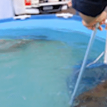 Fujona chega no Bioparque e ficar&aacute; de quarentena antes de dividir tanque