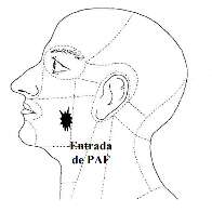 Laudo refor&ccedil;a vers&atilde;o da fam&iacute;lia sobre jovem morto pela PM