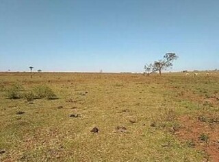 Novo condom&iacute;nio entra na mira por risco de impacto a patrim&ocirc;nio arqueol&oacute;gico