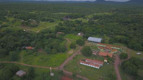 Sumi&ccedil;o de ind&iacute;gena exp&otilde;e irregularidades trabalhistas em fazenda no Pantanal