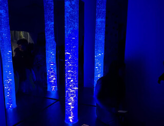 Expogrande ter&aacute; salas de acolhimento para pessoas at&iacute;picas