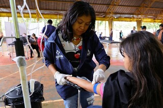 Protocolo de emerg&ecirc;ncia obriga interna&ccedil;&atilde;o imediata para casos de chikungunya
