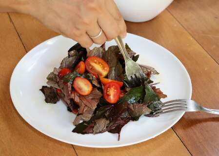 Hibisco n&atilde;o &eacute; s&oacute; ch&aacute;, folha roxa vira salada simples super nutritiva 
