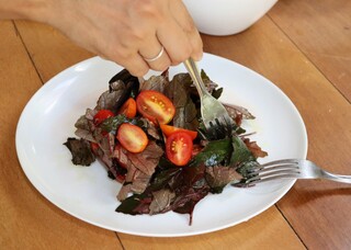 Hibisco n&atilde;o &eacute; s&oacute; ch&aacute;, folha roxa vira salada simples super nutritiva 