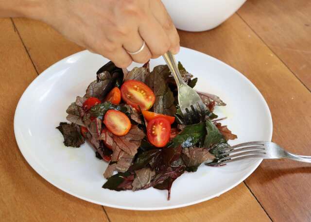 Hibisco n&atilde;o &eacute; s&oacute; ch&aacute;, folha roxa vira salada simples super nutritiva 