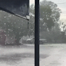 &Aacute;rvore cai sobre fia&ccedil;&atilde;o e deixa moradores sem energia no Los Angeles