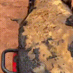 Moto de homem desaparecido &eacute; encontrada queimada em rio