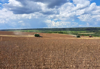 Produtividade da soja sobe e pode levar safra a 17,7 milh&otilde;es de toneladas