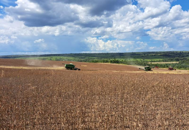 Produtividade da soja sobe e pode levar safra a 17,7 milh&otilde;es de toneladas
