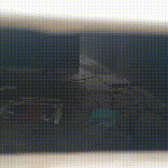 C&atilde;o de casal preso por assassinato &eacute; deixado em casa alugada e vive em abandono