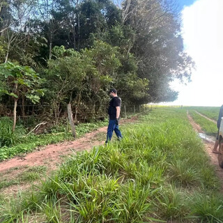 Jovens de Campo Grande s&atilde;o mortos ap&oacute;s julgamento no "tribunal do crime" em MT