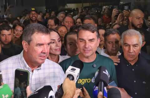 Fl&aacute;vio confirma Azambuja e diz que 2&ordf; vaga ao Senado ser&aacute; definida por pesquisa