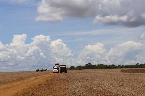 Exporta&ccedil;&otilde;es de MS reduzem, mas somam US$ 2,5 bilh&otilde;es no trimestre