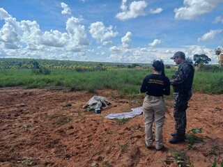 Bovino &eacute; encontrado em estado cr&iacute;tico e pecuarista multado em R$ 3 mil