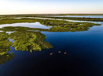 Pantanal preservado e privado surpreende debate em Harvard, diz especialista