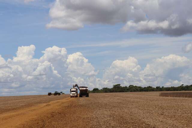 Exporta&ccedil;&otilde;es de MS reduzem, mas somam US$ 2,5 bilh&otilde;es no trimestre