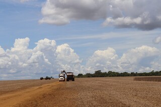 Exporta&ccedil;&otilde;es de MS reduzem, mas somam US$ 2,5 bilh&otilde;es no trimestre