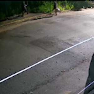 Adolescente e irm&atilde; espancam idoso com barra de ferro durante roubo