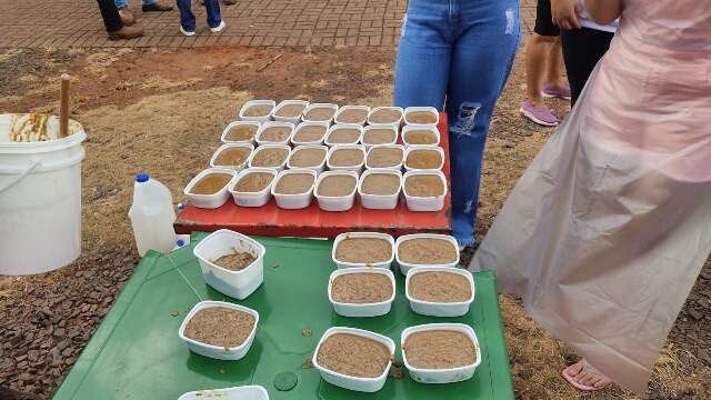  Do descarte &agrave; transforma&ccedil;&atilde;o, em MS apreens&otilde;es viram sab&atilde;o, adubo e &aacute;lcool gel