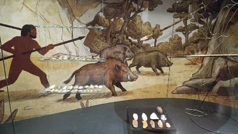 Artefatos pr&eacute;-coloniais indicam presen&ccedil;a humana milenar em Campo Grande