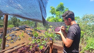 Edital prev&ecirc; R$ 53 mil em equipamentos para Farm&aacute;cia Viva