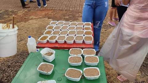  Do descarte &agrave; transforma&ccedil;&atilde;o: apreens&otilde;es viram sab&atilde;o, adubo e &aacute;lcool gel em MS