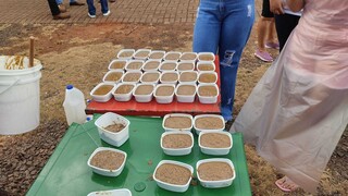  Do descarte &agrave; transforma&ccedil;&atilde;o, em MS apreens&otilde;es viram sab&atilde;o, adubo e &aacute;lcool gel