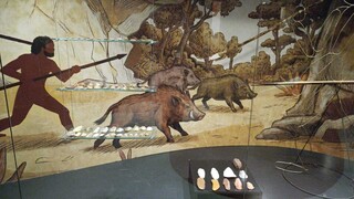 Artefatos pr&eacute;-coloniais indicam presen&ccedil;a humana milenar em Campo Grande