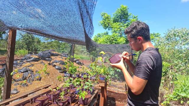 Edital prev&ecirc; R$ 53 mil em equipamentos para Farm&aacute;cia Viva