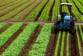 Agro j&aacute; soma R$ 404 bilh&otilde;es em cr&eacute;dito rural para a safra de 2025/2026