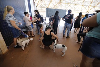 Caravana da Castra&ccedil;&atilde;o encerra primeira etapa com 20 mil animais atendidos em MS