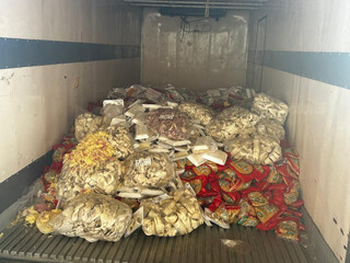 Alem&atilde;o acaba preso ap&oacute;s apreens&atilde;o de 10,4 toneladas de alimentos irregulares