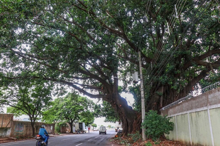 Criança é encontrada chorando ao lado de pai bêbado em show Criança é encontrada chorando ao lado de pai bêbado em show