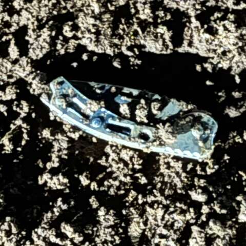 &ldquo;Covardemente atacado&rdquo;: testemunhas detalham facada em prova de cavalos