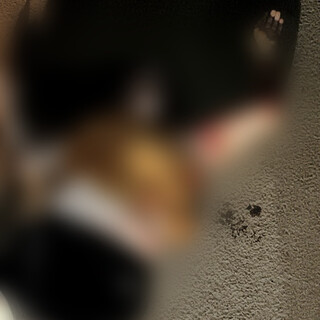 Marido é preso por atropelar mulher e ligar para a PM inventando acidente Marido é preso por atropelar mulher e ligar para a PM inventando acidente