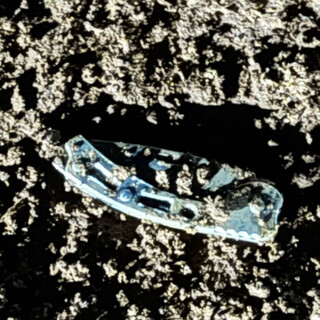 &ldquo;Covardemente atacado&rdquo;: testemunhas detalham facada em prova de cavalos