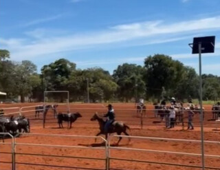 Veterin&aacute;rio &eacute; preso por esfaquear zootecnista durante prova de cavalos