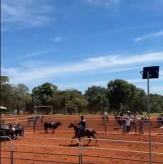Briga em prova de cavalos termina com homem esfaqueado e veterin&aacute;rio preso