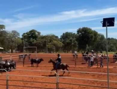 Veterin&aacute;rio &eacute; preso por esfaquear zootecnista durante prova de cavalos